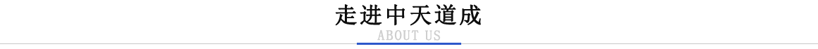 走進中天道成